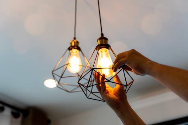 Best Generator Installation Services  in Lovelock, NV