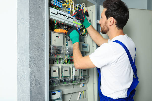 Best Electric Panel Repair  in Lovelock, NV