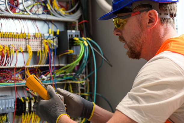 Best Ceiling Fan Installation Electrician  in Lovelock, NV